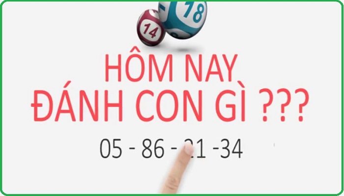 Ghim ngay kinh soi cầu lô đẹp trong tay 